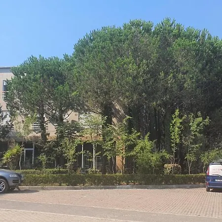 Geri's דורס